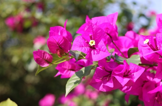 非主流好听的英文名字(142个)