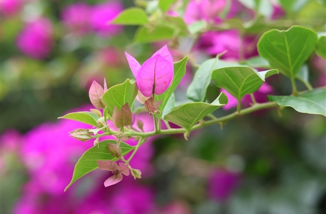 超好看的繁体字网名带财运