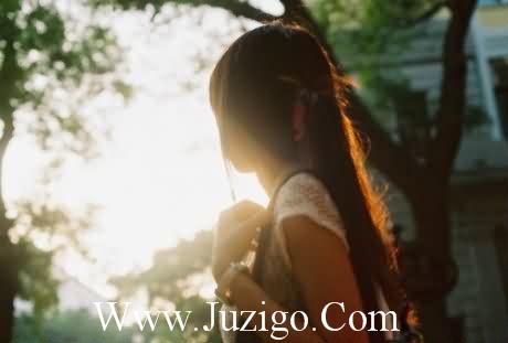 蜜蜂拟人句片段48句