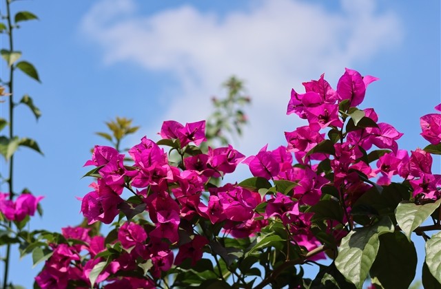 好听的魔域游戏名字