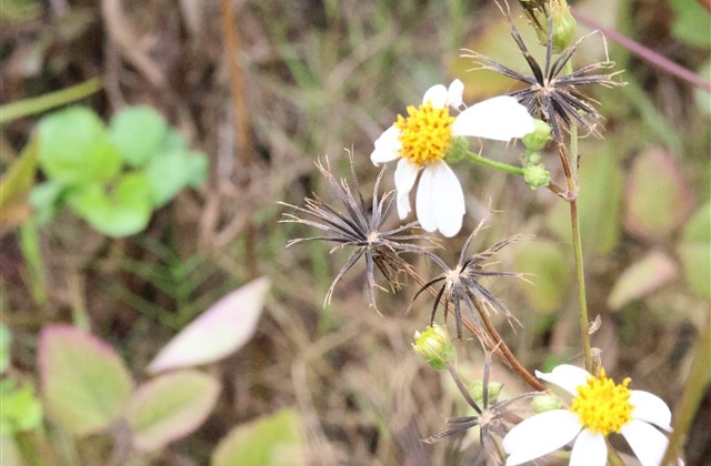 冰冷无情的伤感昵称