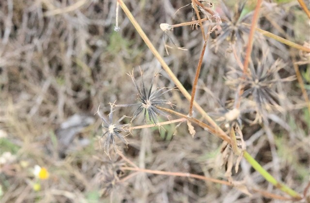 中老年人好听的微信名字