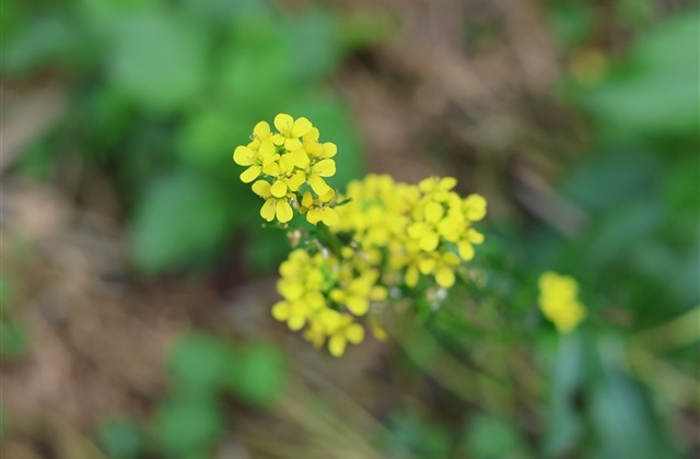幽默搞笑吸引人的网名男生