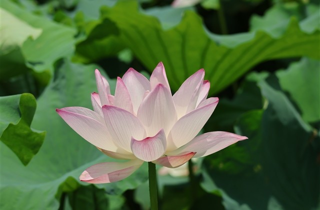 爆笑网名大全 让人一看就笑的网名精选