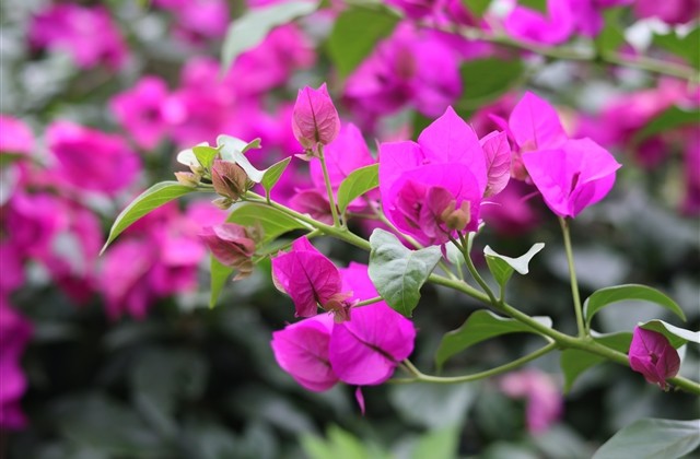 值得用一辈子的网名