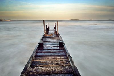 ​关于荷的歇后语62句