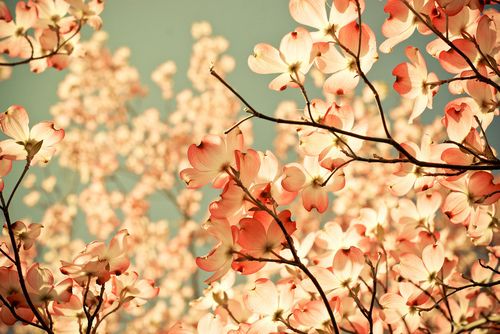 钝刀子割肉歇后语22句