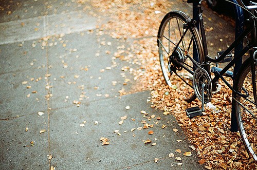 鼻尖上抹黄连歇后语21句