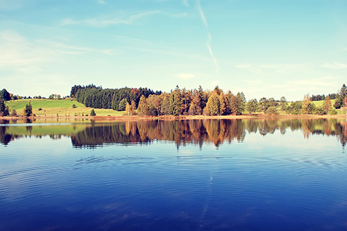 关于拔河的好词