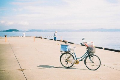 ​最常见的谚语十条10句