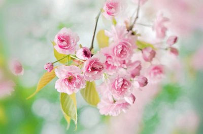 ​关于理的谚语俗语66句