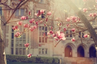 ​街上热闹比喻句10句