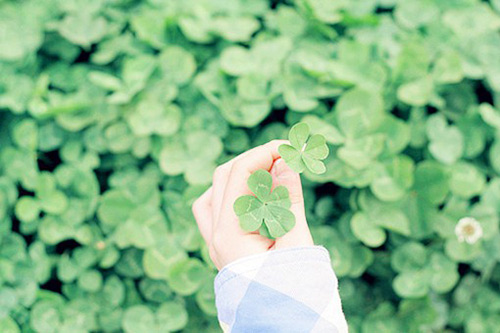 不认自家人歇后语31句