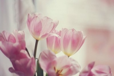 ​愤怒的比喻句15句