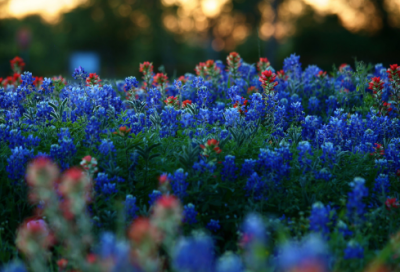 ​姓刘的男孩宝宝名字大全2023取名395个