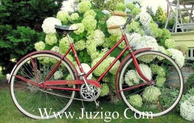 ​五四青年节青春励志寄语五四青年节励志语录(精选95句)