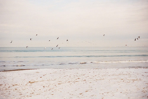 有关婚姻的谚语28句