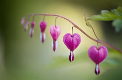 ​多管闲事谚语22句