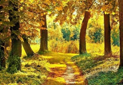 ​描写清明下雨的句子