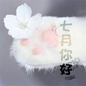 ​2024年元旦手抄报