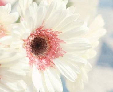 ​文艺到爆的简短句子