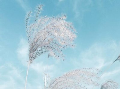 ​赞美足球的句子