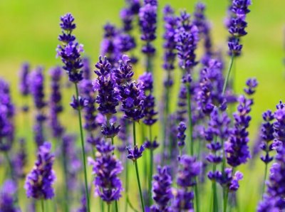 ​女人励志的句子致自己