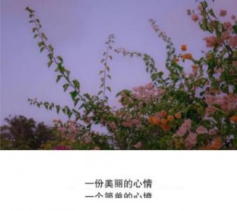 ​每天励志正能量的句子 励志的句子 正能量感悟