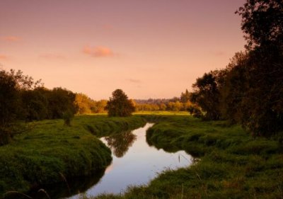 ​发圈的精美句子