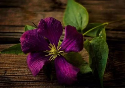 ​愿岁月静好发朋友圈句子（岁月静好优美的短句，比较适合发朋友圈的短句）