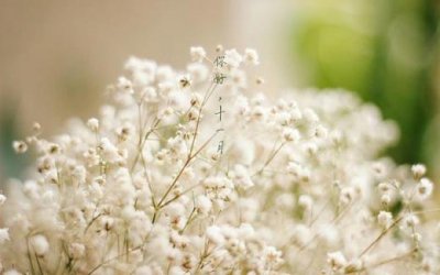 ​公布结婚短句幽默（宣布结婚）