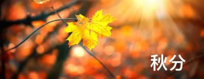 ​用秋分来描写一句话 一眼倾心的文案