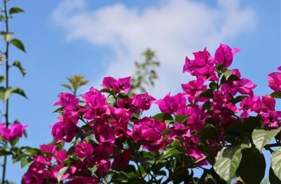 ​防溺水安全标语2024(精选)