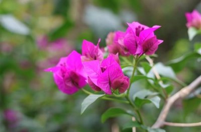 ​修心养心静心的说说