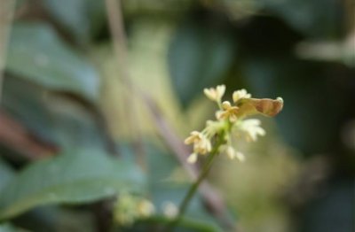 ​深夜失眠的经典句子