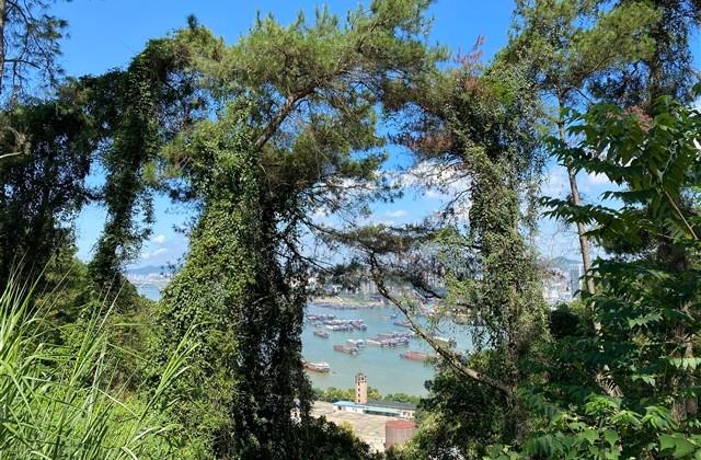 甜到爆的网名可爱四个字