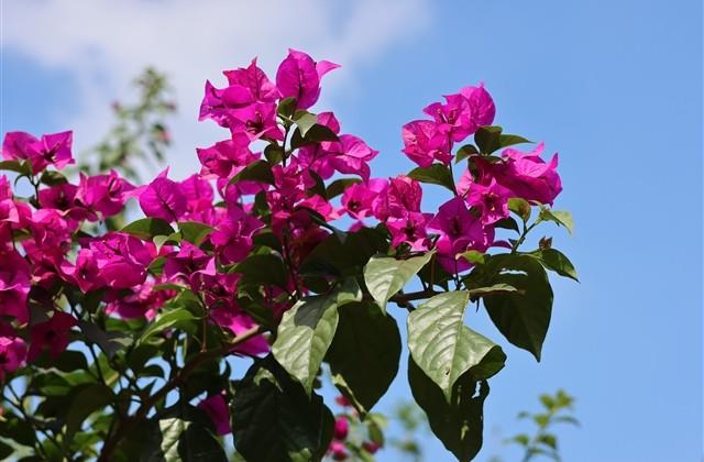 感恩说说很现实的句子