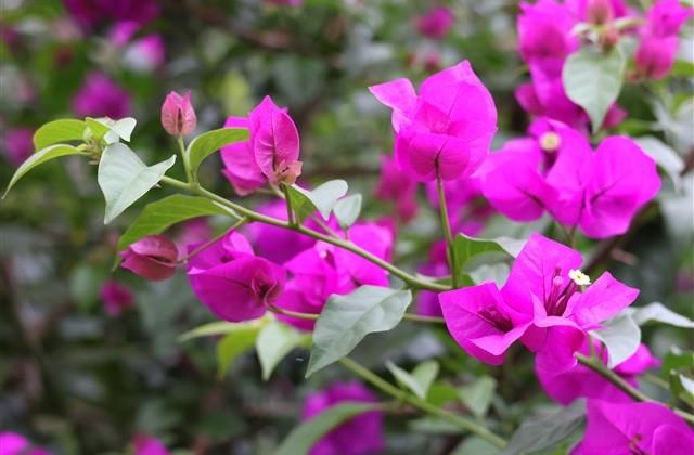 读书名言名句大全集短的