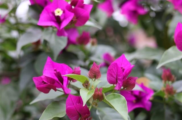 读书名言名句大全集短的