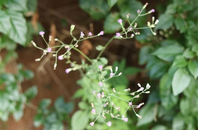 累了鼓励自己的句子