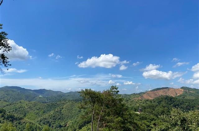 微信带素字可爱的网名(共211个)