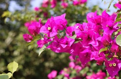 ​今年女宝宝取名最佳用字（特别推荐337个）