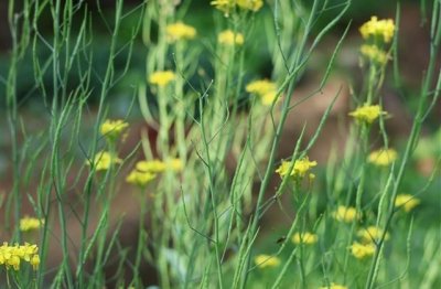 ​王者荣耀吸引妹子的名字(精选10个)