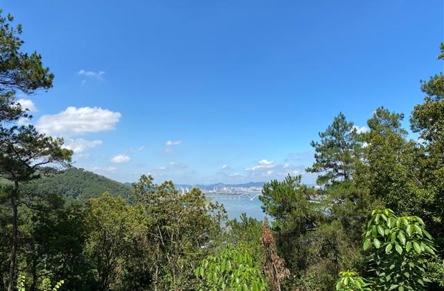 心痛到撕心裂肺的女生网名(精选195个)