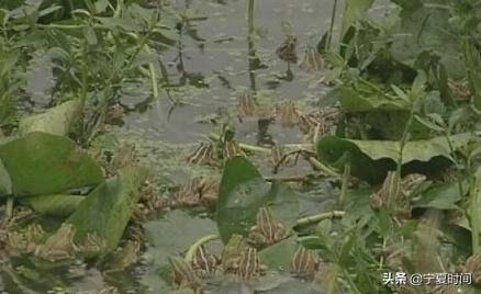 中国几百年来最诡异的灵异事件，宁夏也有发生