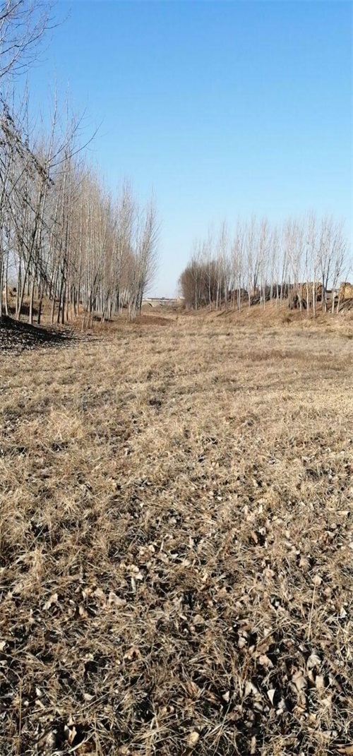 农村鬼故事之千里传音