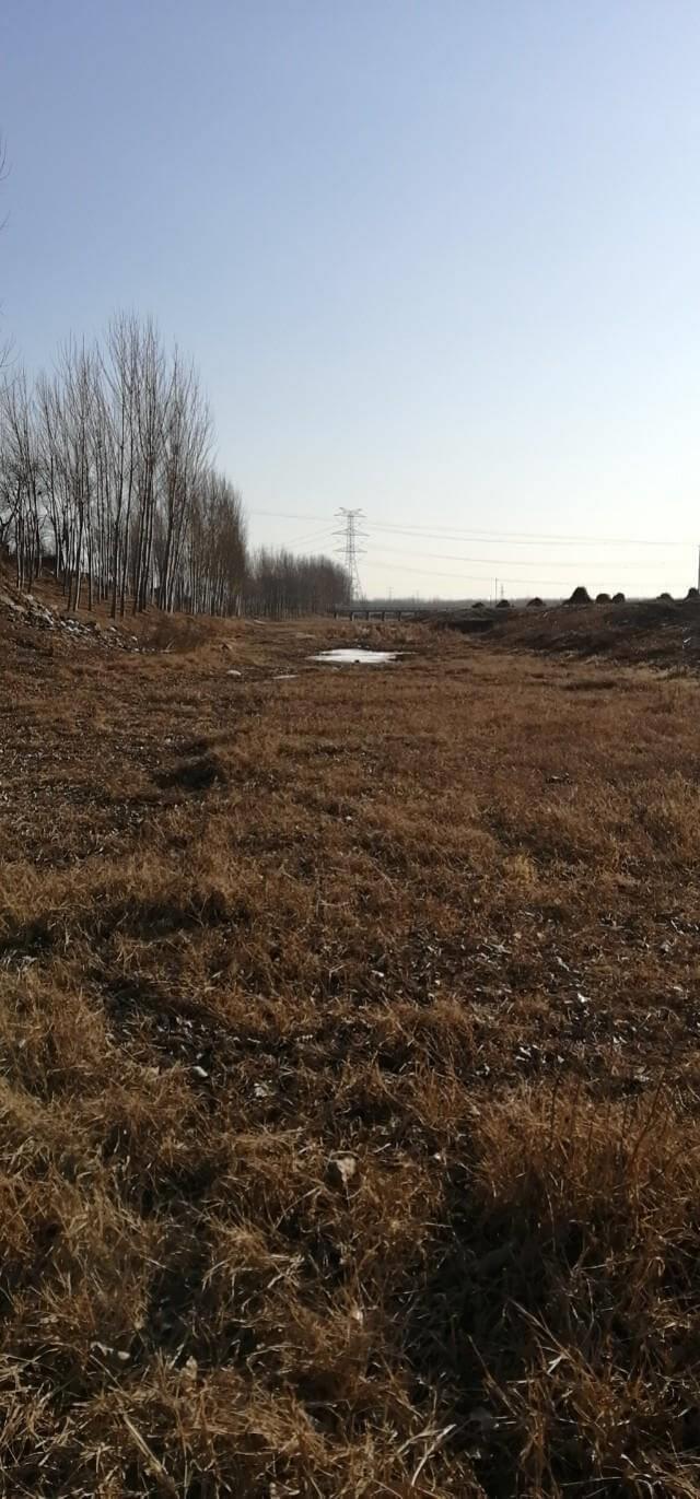 农村鬼故事之千里传音