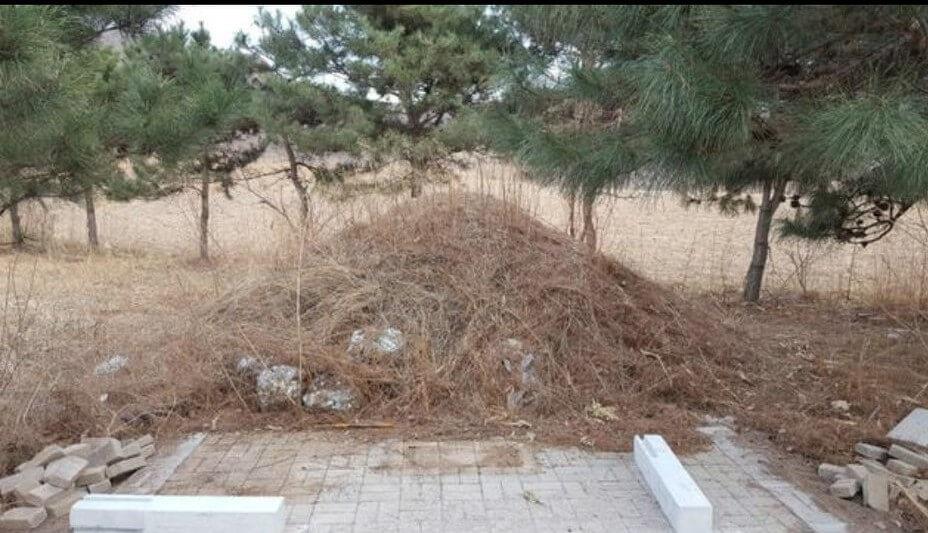 校园鬼故事:校园边儿上的孤坟