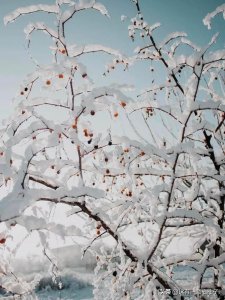 ​睡前小故事(7)温暖（超暖心的睡前小故事）