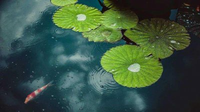 ​幼儿睡前有声系列小故事:泥坑和雨滴（小雨滴绘本故事）